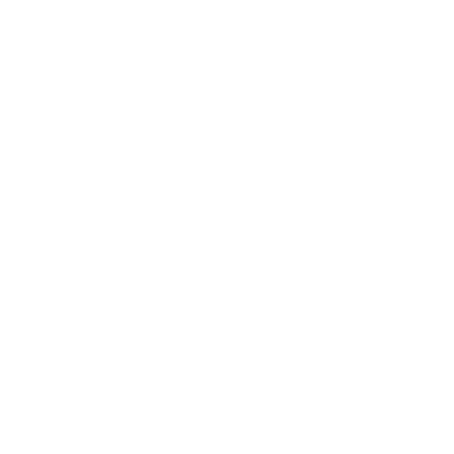 Circle Icon